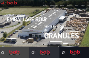 Réalisation site web bab emballages